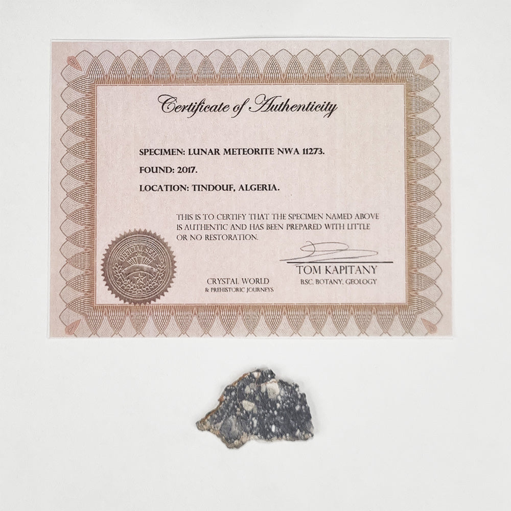 Rare Lunar Meteorite 4cm