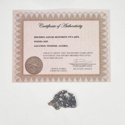 Rare Lunar Meteorite 4cm