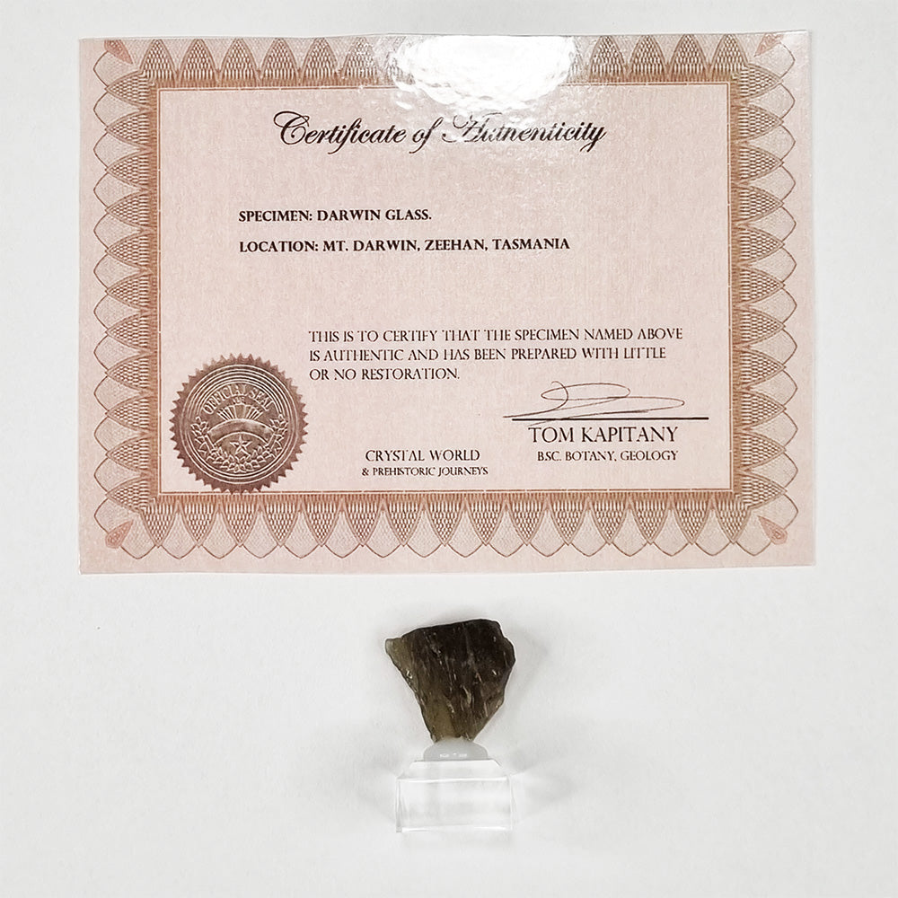 Darwin Glass Meteorite Impact Melt (Tasmania- 816,000 Years Old) 11g