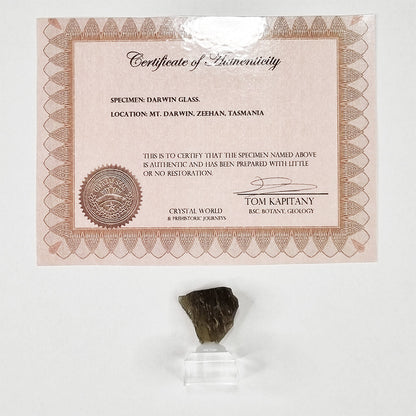 Darwin Glass Meteorite Impact Melt (Tasmania- 816,000 Years Old) 11g
