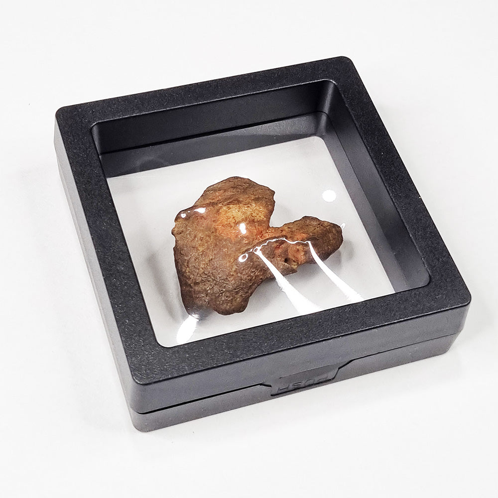 Gebel Kamil Meteorite (Egypt < 5000 Years Old) 26g