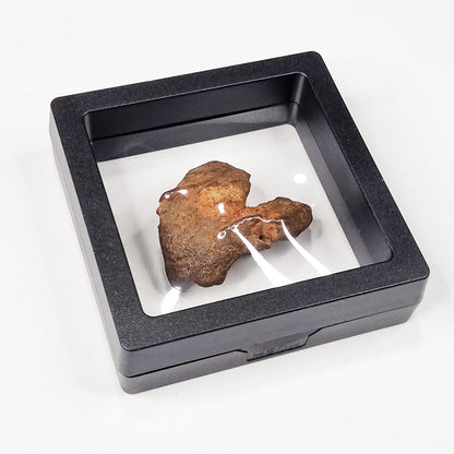 Gebel Kamil Meteorite (Egypt < 5000 Years Old) 26g
