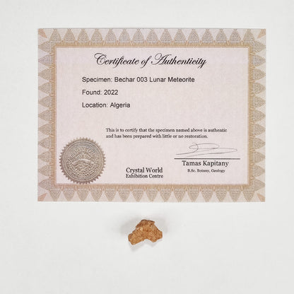 Rare Lunar Meteorite 2g