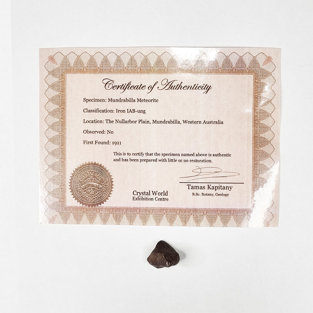 Mundrabilla Meteorite (Western Australia-1911) 9.3g