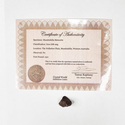 Mundrabilla Meteorite (Western Australia-1911) 9.3g