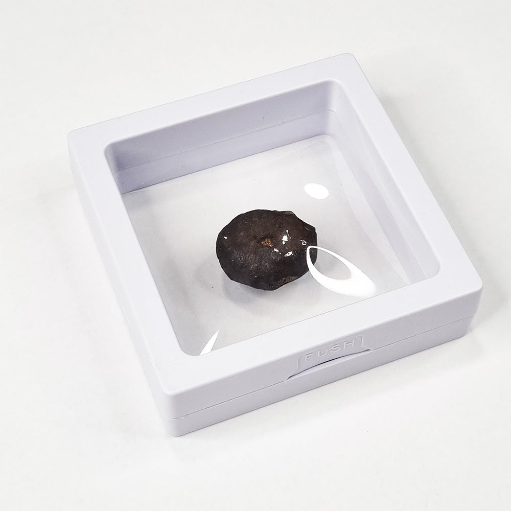 Wiluna Meteorite (Western Australia- 1967) 10g