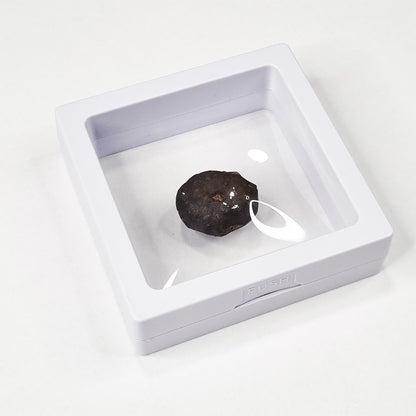 Wiluna Meteorite (Western Australia- 1967) 10g