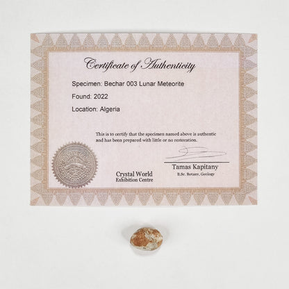 Rare Lunar Meteorite 3g
