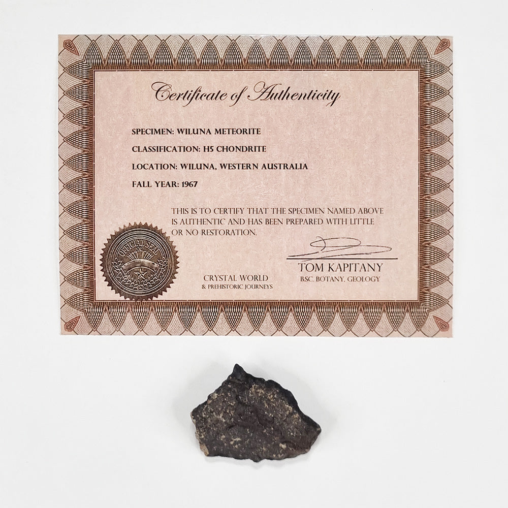 Wiluna Meteorite (Western Australia- 1967) 24g