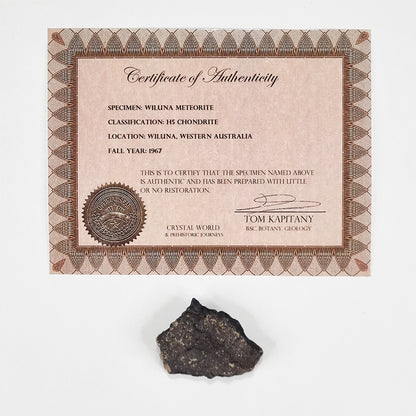 Wiluna Meteorite (Western Australia- 1967) 24g