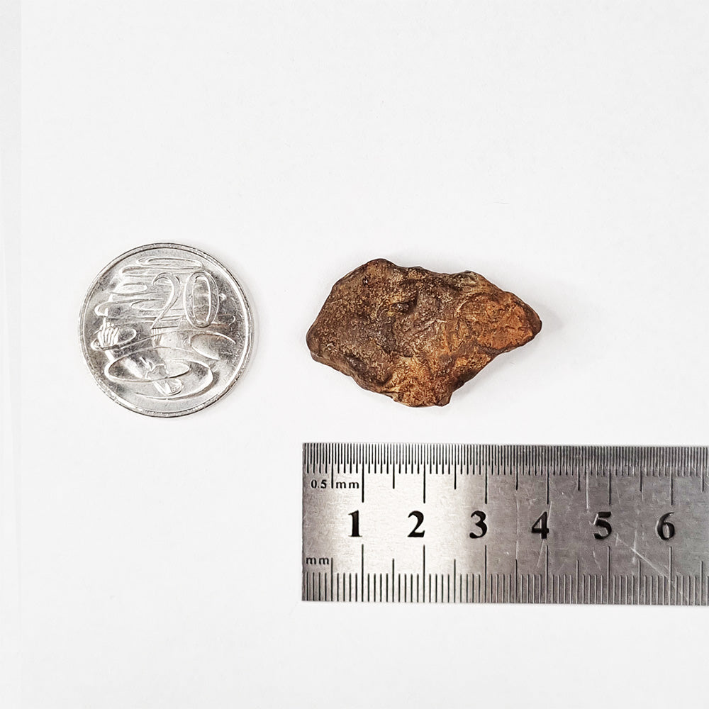 Gebel Kamil Meteorite (Egypt < 5000 Years Old) 28.4g