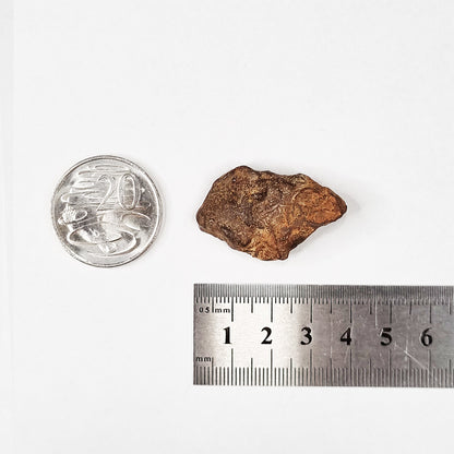 Gebel Kamil Meteorite (Egypt < 5000 Years Old) 28.4g