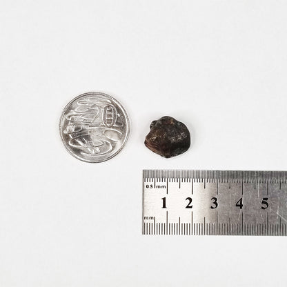 Nantan Meteorite (China- 1516) 6g