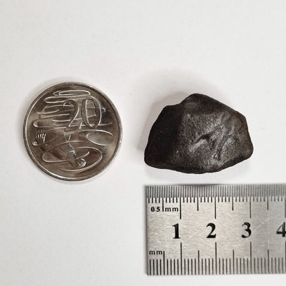 Wiluna Meteorite (Western Australia- 1967) 14g