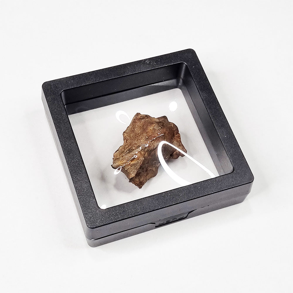 Gebel Kamil Meteorite (Egypt < 5000 Years Old) 39g