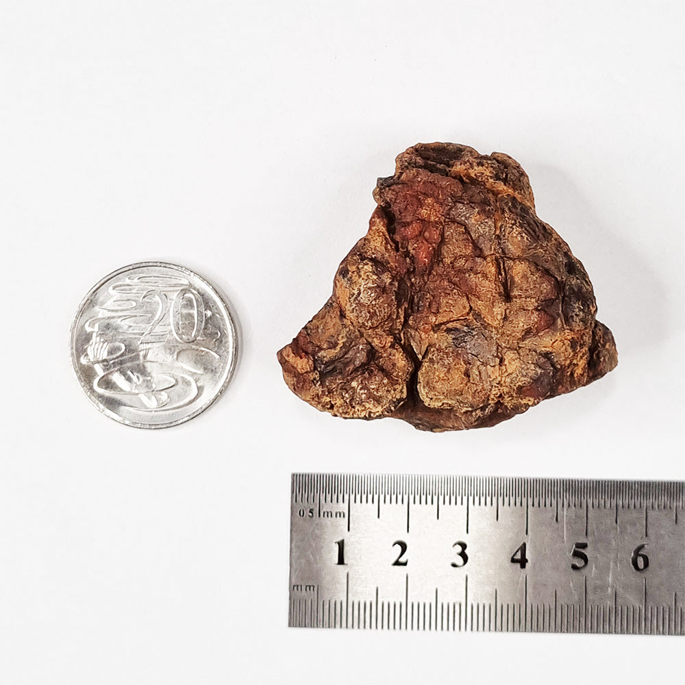 Wolfe Creek Shale Ball Meteorite (Western Australia-1947) 95g
