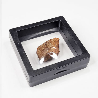 Gebel Kamil Meteorite (Egypt < 5000 Years Old) 28.4g