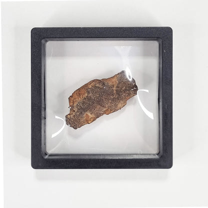 Gebel Kamil Meteorite (Egypt < 5000 Years Old) 61g