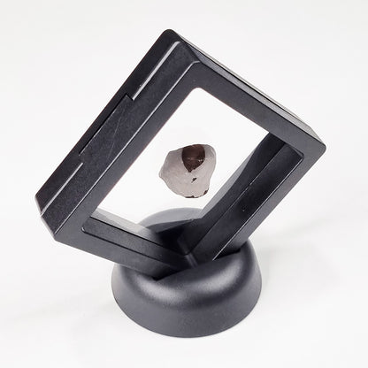 Mundrabilla Meteorite (Western Australia-1911) 14g