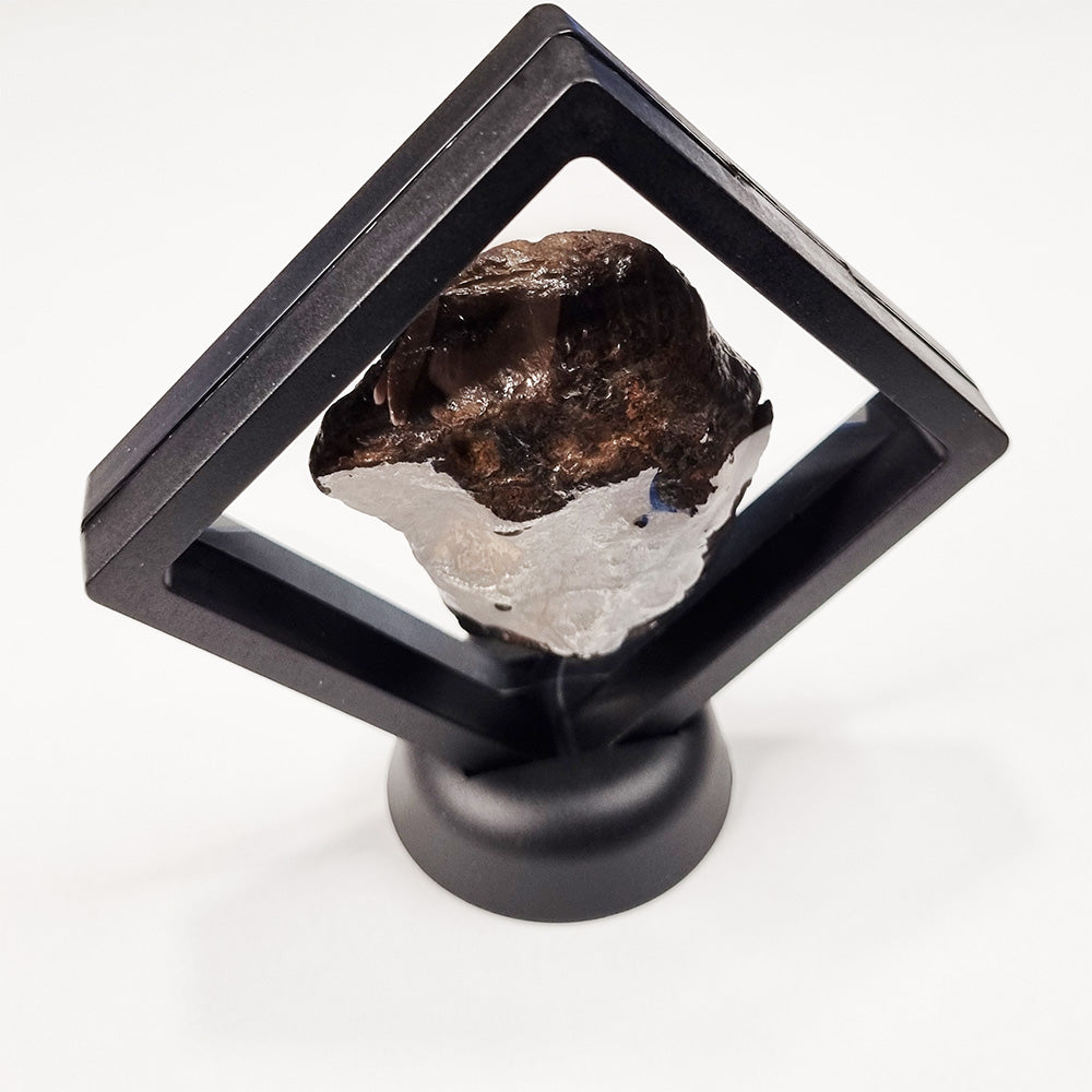 Nantan Meteorite (China- 1516) 370g