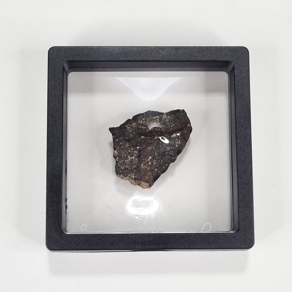 Wiluna Meteorite (Western Australia- 1967) 24g