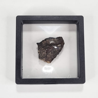 Wiluna Meteorite (Western Australia- 1967) 24g