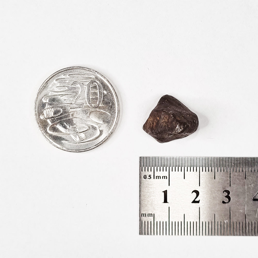 Mundrabilla Meteorite (Western Australia-1911) 9.3g