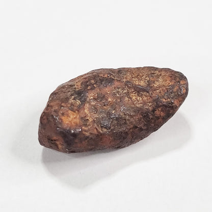 Mundrabilla Meteorite (Western Australia-1911) 11g
