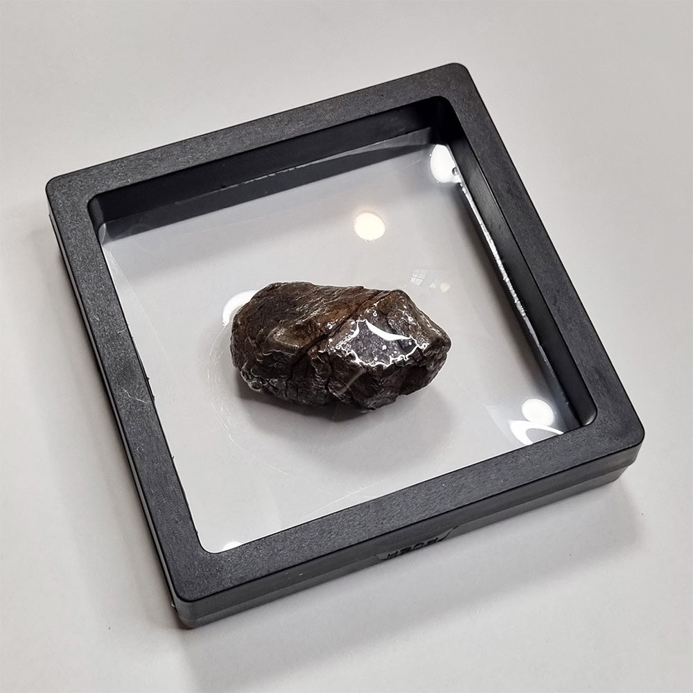 Nantan Meteorite 88g (China- 1516)