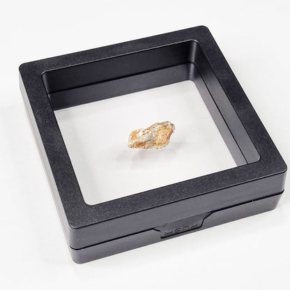 *Rare* Lunar Meteorite 1.8cm
