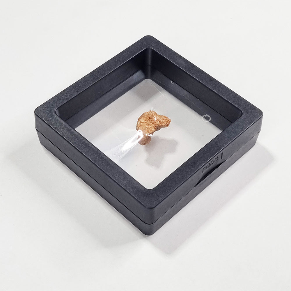 Rare Lunar Meteorite 2g