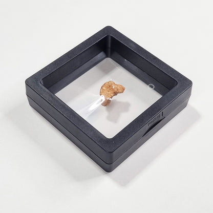Rare Lunar Meteorite 2g