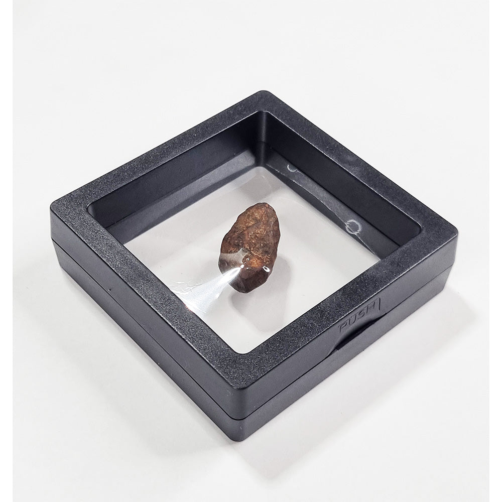 Mundrabilla Meteorite (Western Australia-1911) 11g