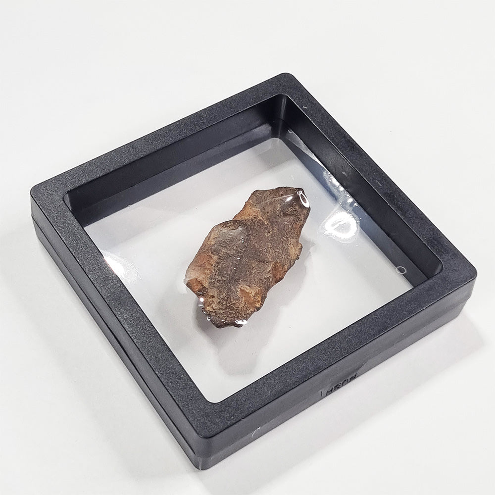 Gebel Kamil Meteorite (Egypt < 5000 Years Old) 61g