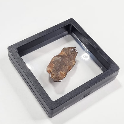 Gebel Kamil Meteorite (Egypt < 5000 Years Old) 61g