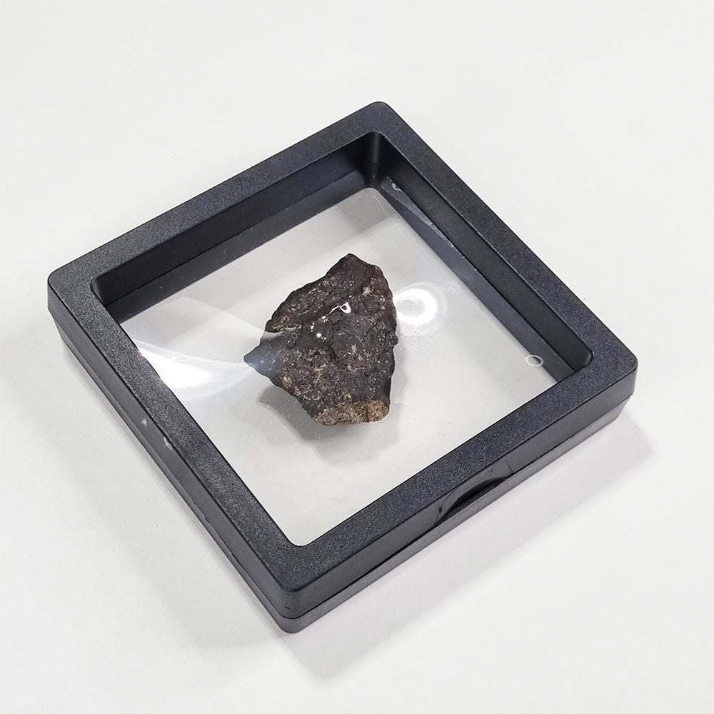Wiluna Meteorite (Western Australia- 1967) 24g