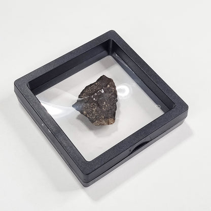 Wiluna Meteorite (Western Australia- 1967) 24g