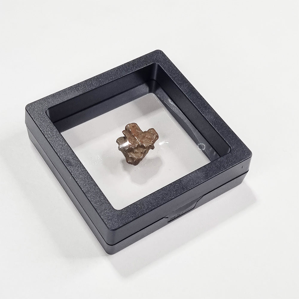 Nantan Meteorite (China- 1516) 6g