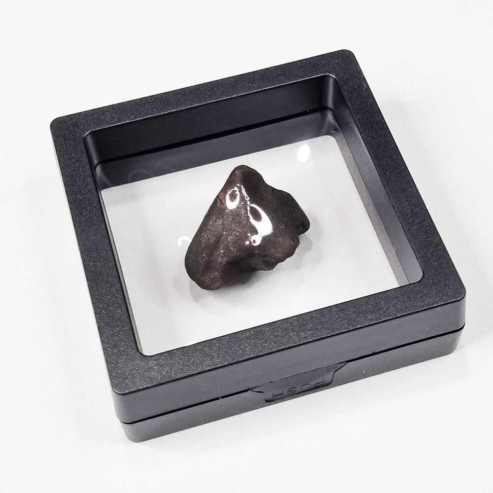 Wiluna Meteorite (Western Australia- 1967) 14.07g