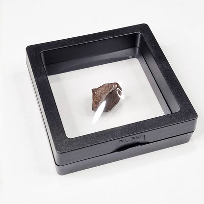 Mundrabilla Meteorite (Western Australia-1911) 9.3g