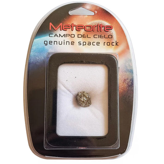 Campo Del Cielo Meteorite (4,500 years ago)