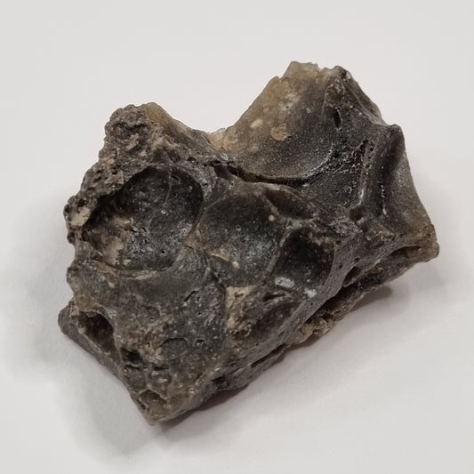 Darwin Glass Meteorite Impact Melt (Tasmania- 816,000 years ago)