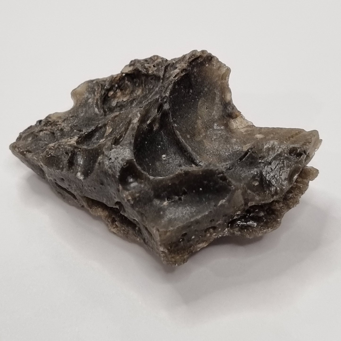 Darwin Glass Meteorite Impact Melt (Tasmania- 816,000 Years Old) 26g