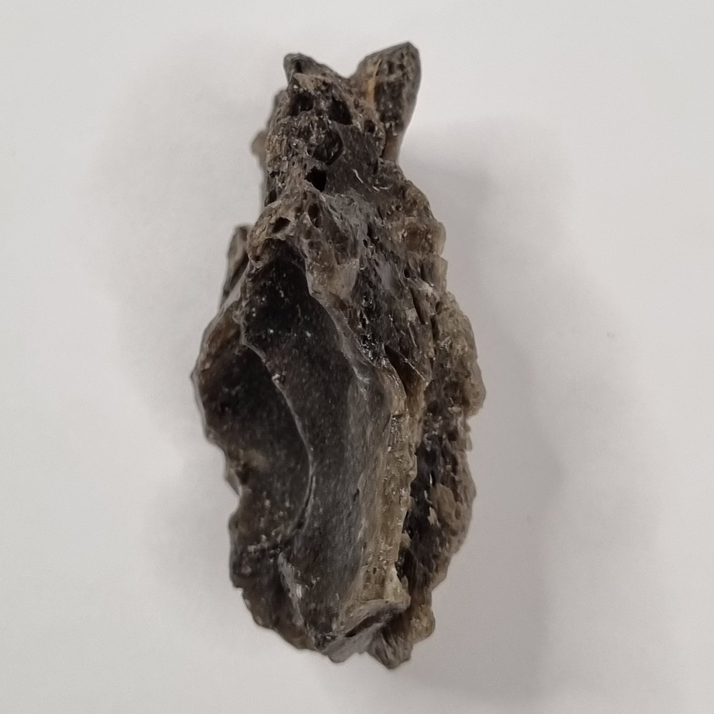 Darwin Glass Meteorite Impact Melt (Tasmania- 816,000 Years Old) 26g