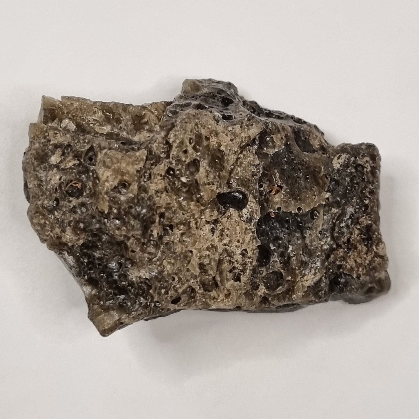 Darwin Glass Meteorite Impact Melt (Tasmania- 816,000 Years Old) 26g