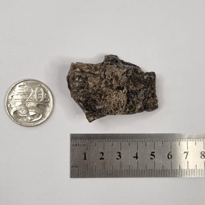 Darwin Glass Meteorite Impact Melt (Tasmania- 816,000 Years Old) 26g