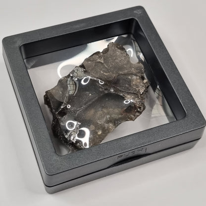 Darwin Glass Meteorite Impact Melt (Tasmania- 816,000 Years Old) 26g