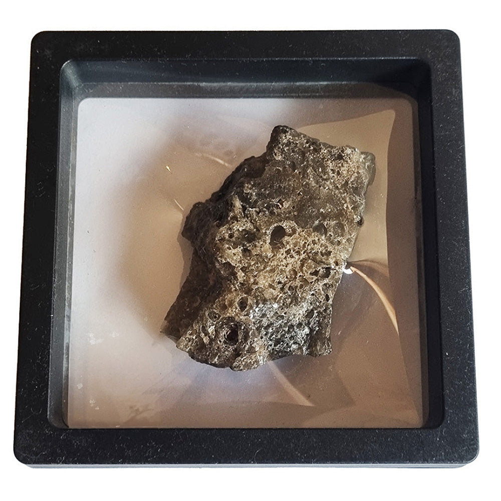 Impactite Darwin Glass- Australian Moldavite (816,000 years ago)