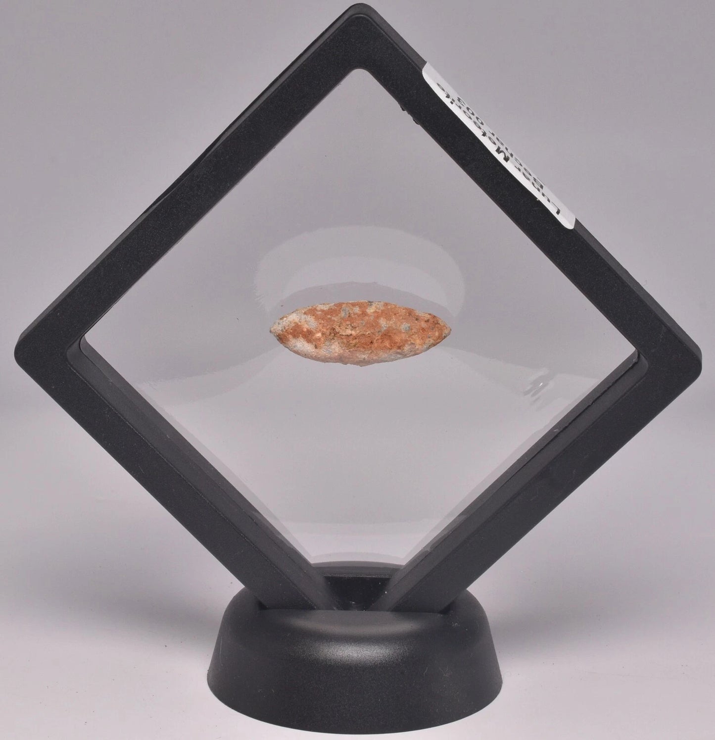 Lunar Meteorite- Rare (3cm)