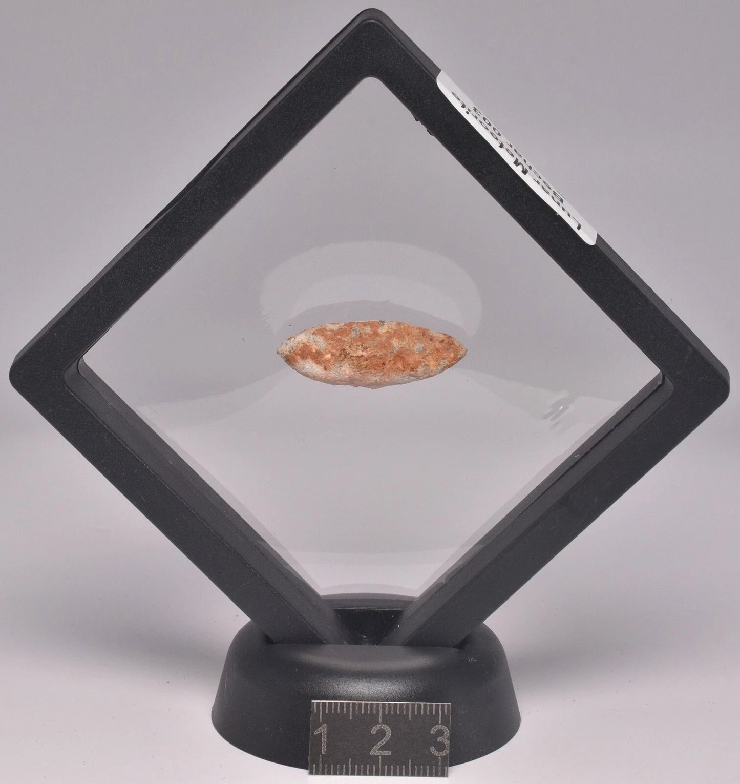 Lunar Meteorite- Rare (3cm)